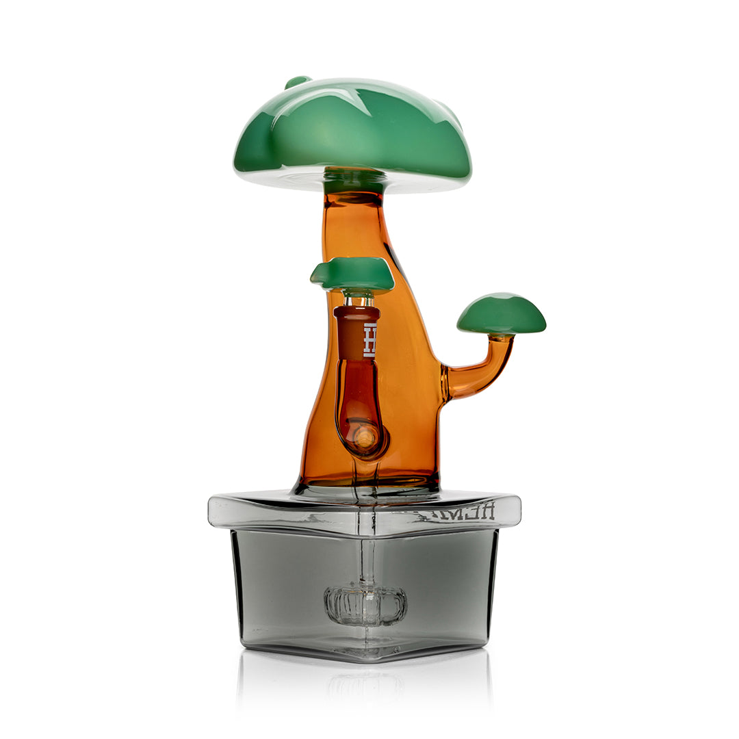 Hemper 10” XL Bonsai Tree Bong 🌳
