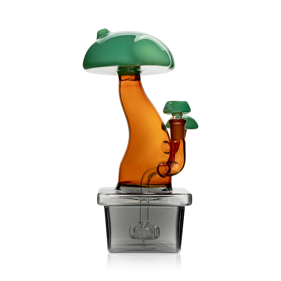 Hemper 10” XL Bonsai Tree Bong 🌳
